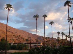 Palm Springs in Kalifornien mitten in der Wüste mit zahlreichen Palmen