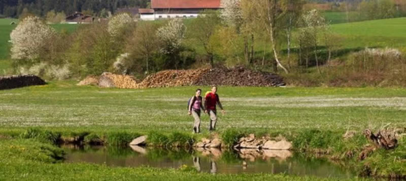 wandern