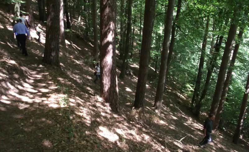 Felsenwanderweg