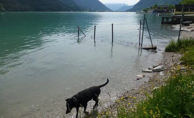 Achensee