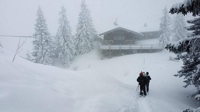 Verschneite Schneeschuhwanderung am PREDAX 36 Almhütte Schlegelmulde