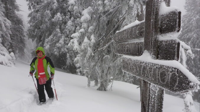 Schneeschuhwanderung 11
