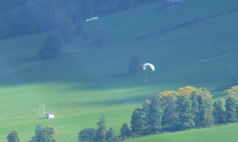 Frei wie ein Vogel in der Luft beim Tandemflug 39 Tandemflug