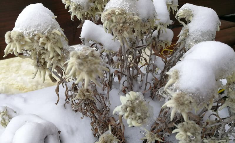 IMG 20171006 133533 2