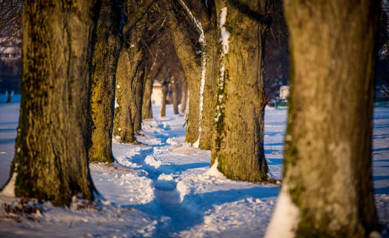 Winter in Bad Wörishofen