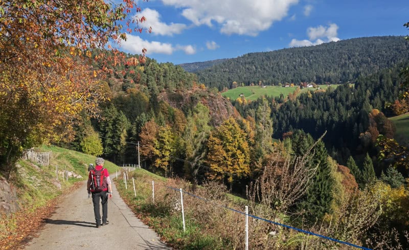 wandern auf dem Tschögglberg von Vöran nach Mölten