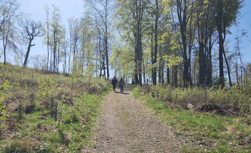 Straße der Musik
