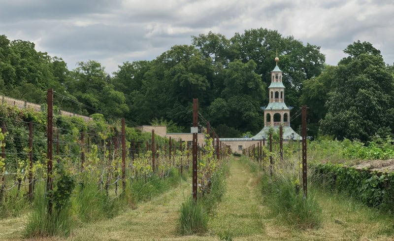 Radtour,, Königlicher Weinberg, Drachenhaus