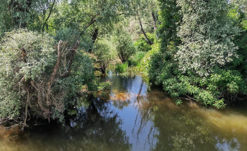 Donaudelta