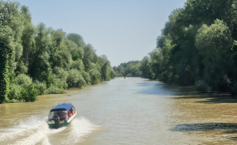 Donaudelta