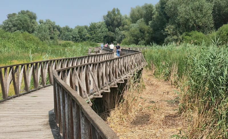 Nationalpark Kapacik Rit