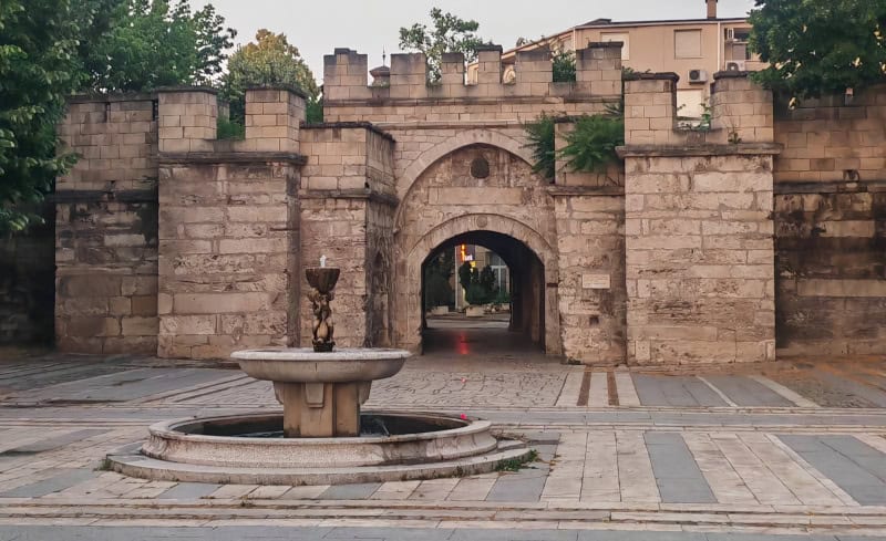 Vidin