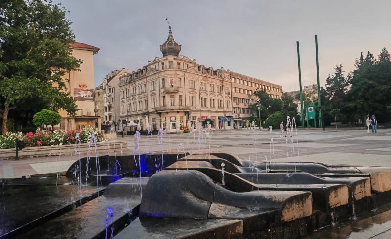Vidin