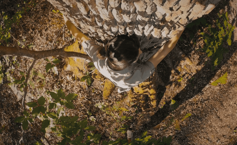 Bäume umarmen und die Kraft des Waldes in sich aufnehmen, geht in den Vogesen mit „Forêt en soi“, © BOOV Studio