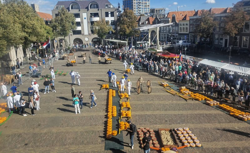 Käsemarkt Alkmaar 