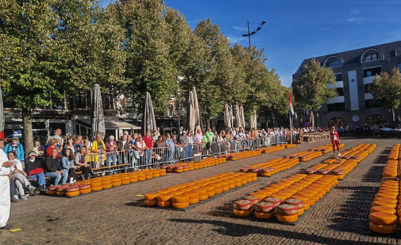 Käsemarkt Alkmaar 