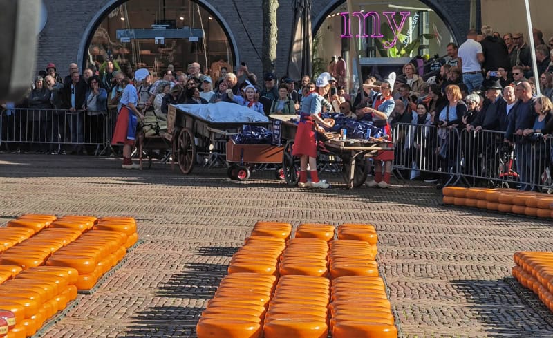Käsemarkt Alkmaar 