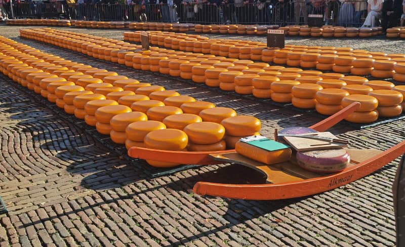 Käsemarkt Alkmaar