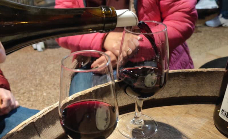 Beaujolais Bio-Weingut Morel.