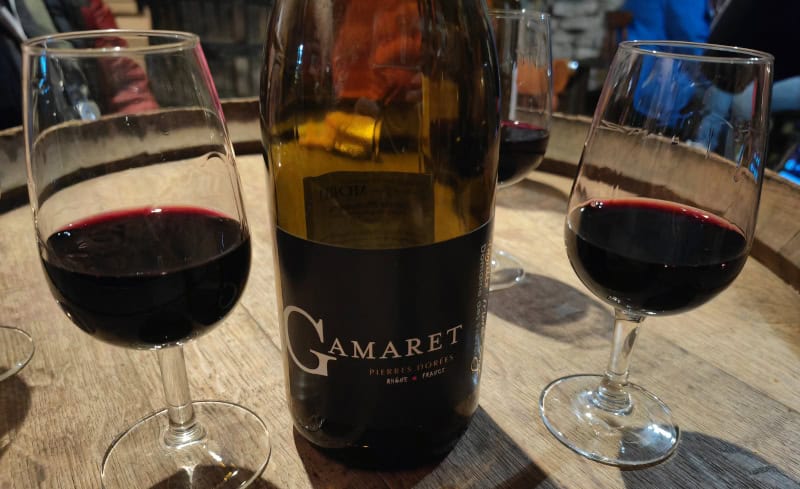 Beaujolais Bio-Weingut Morel.