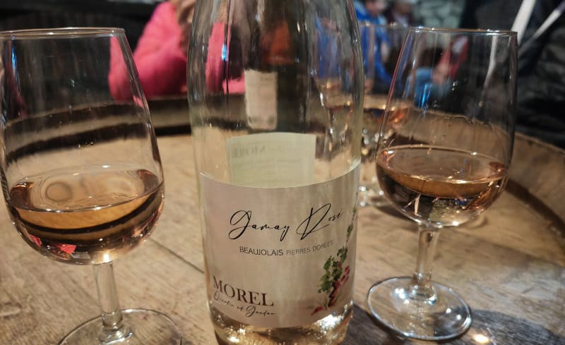 Beaujolais Bio-Weingut Morel