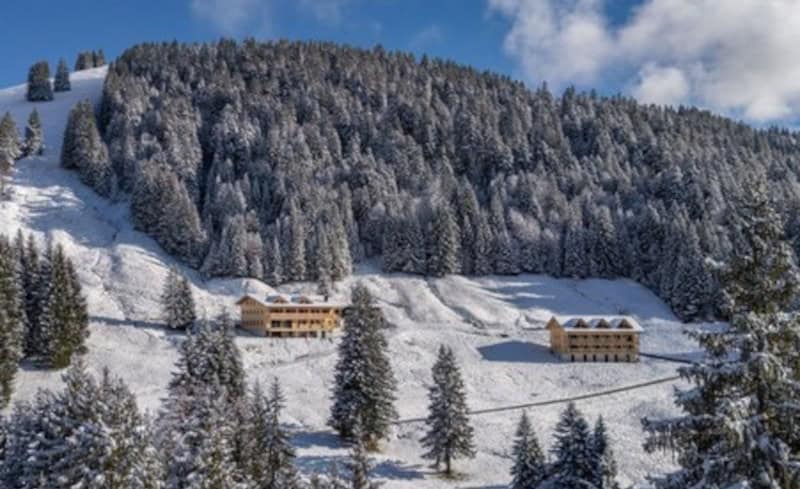 Berghotel Wald & Wiesn