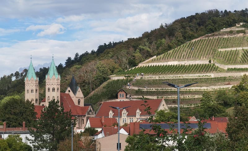 Saale-Unstrut - 1.000 Jahre Weinbaukultur, Natur und spektakuläre Architektur 3 Freyburg (C) Gabriele Wilms