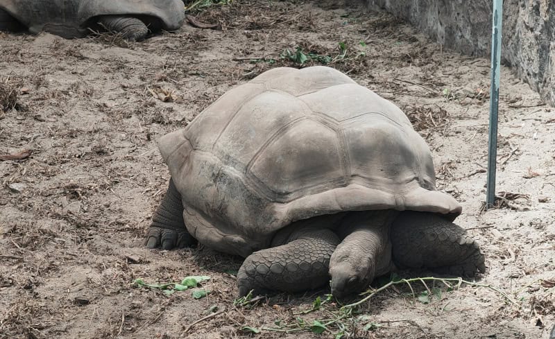 Fahrradausflug auf La Digue, L’Union Estate