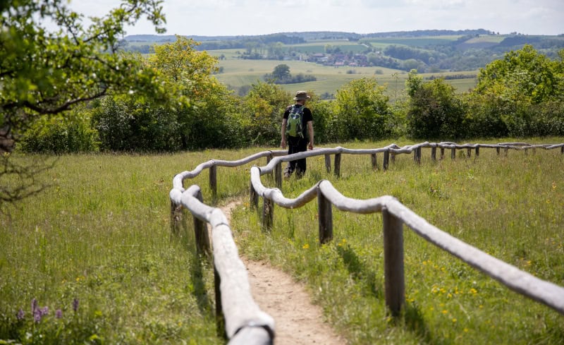 Saale-Unstrut - 1.000 Jahre Weinbaukultur, Natur und spektakuläre Architektur 11 Rödel-Freyburg-c-sut-ev-Nadine-Ormo__2_