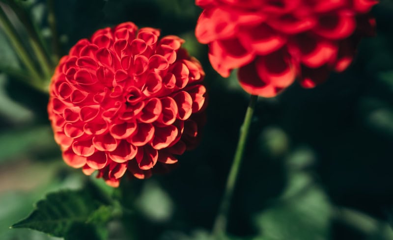 Saale-Unstrut - 1.000 Jahre Weinbaukultur, Natur und spektakuläre Architektur 15 bad_koestritz_c_sut_gmbh_Daniel_Remler