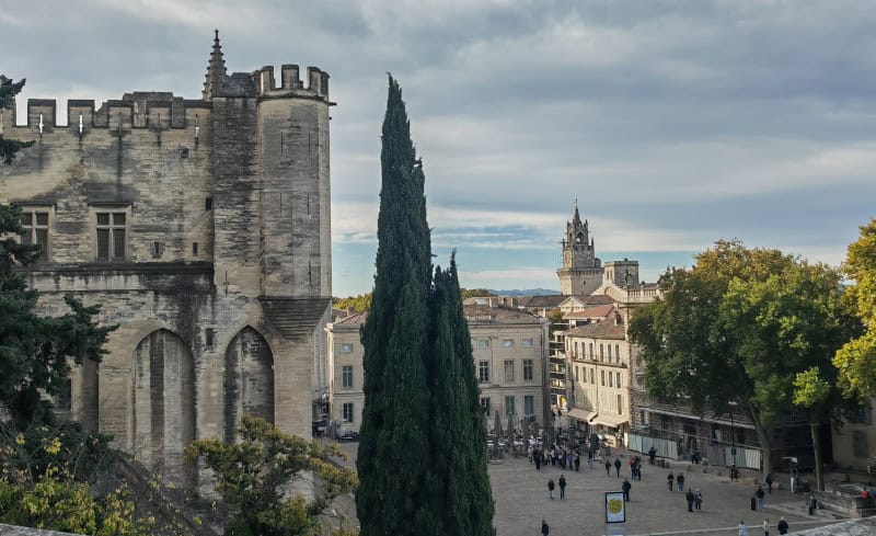 Traumhaft schöne Flusskreuzfahrt mit der Bijou du Rhône auf Saône und Rhône (Teil 2) 174 Avion