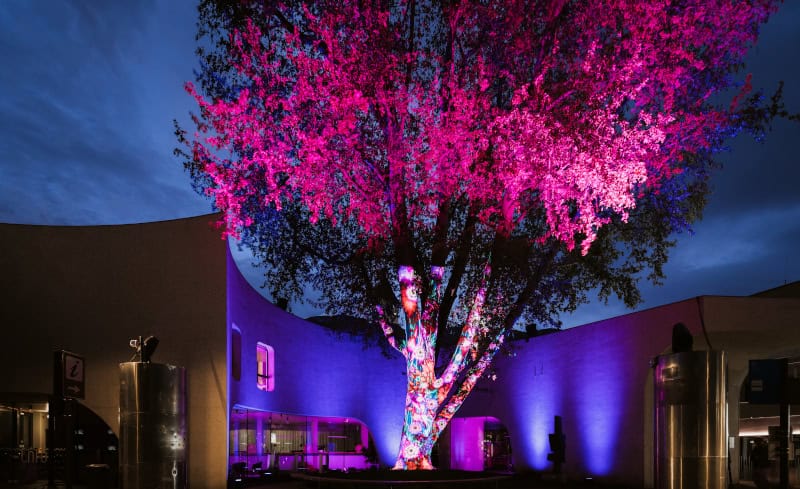 Brixen Water Light Festival 12 The Great Platanus by Spectaculaires (c) Brixen Tourismus, Matthias Gasser