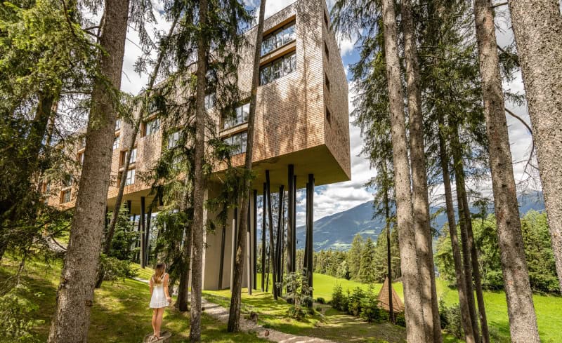 My arbor Baumhotel 1