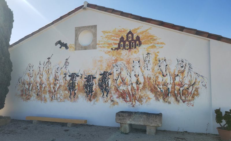 Traumhaft schöne Flusskreuzfahrt mit der Bijou du Rhône auf Saône und Rhône (Teil 2) 98 Stierfarm Manade Arnaud, Camargue