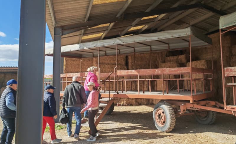 Traumhaft schöne Flusskreuzfahrt mit der Bijou du Rhône auf Saône und Rhône (Teil 2) 99 Stierfarm Manade Arnaud, Camargue