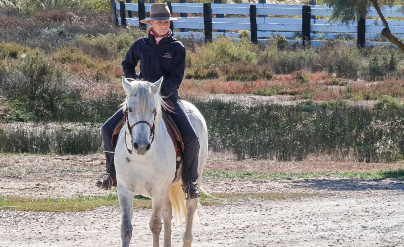 Traumhaft schöne Flusskreuzfahrt mit der Bijou du Rhône auf Saône und Rhône (Teil 2) 106 Stierfarm Manade Stefanie Arnaud, Camargue