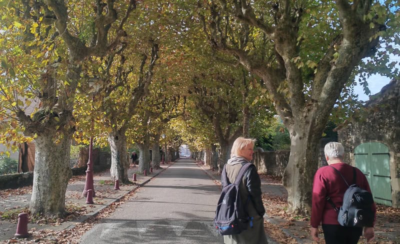 Traumhaft schöne Flusskreuzfahrt mit der Bijou du Rhône auf Saône und Rhône (Teil 2) 2 Viviers