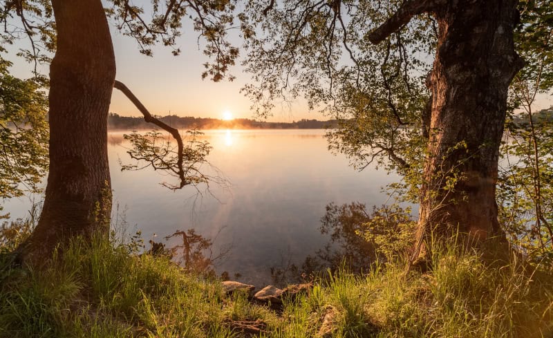 Frühling im Blauen Land Simon Bauer