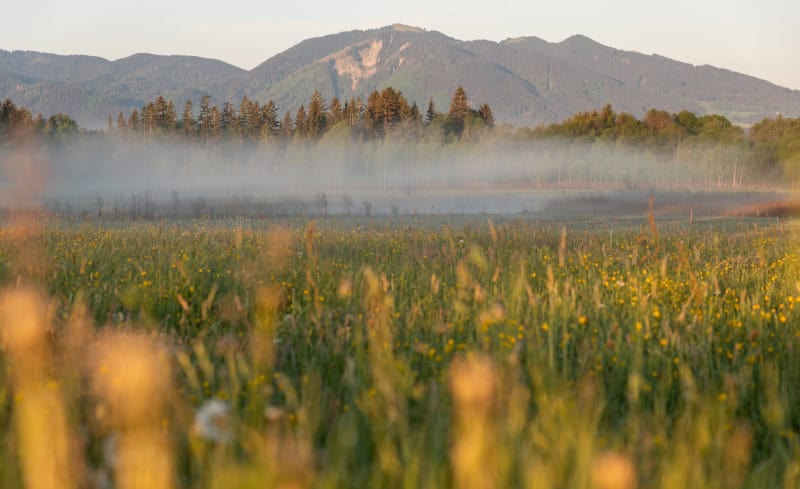 Frühling im Blauen Land Simon Bauer