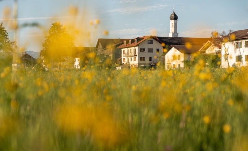 Frühling im Blauen Land Simon Bauer