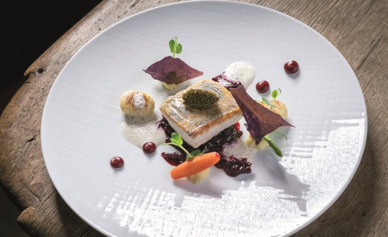 Luxus-Wellness-Auszeit in den Bergen in der Wellnessresidenz Schalber 11 koestliche Fischkreation, ZANDER, rote Ruebe, Gnocchi, Krenschaum, Wellnessresidenz Schalber