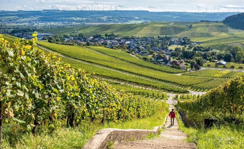 Wellenstein-© Andre Schösser
