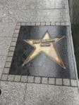 Piotrkowska Strasse 121 Wark of Fame