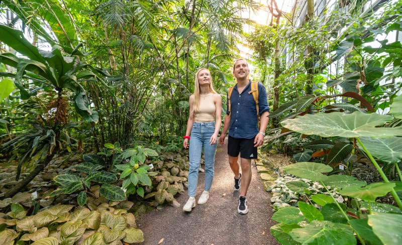 Kulturarena, Flussromantik und Festival unterm Sternenzelt - Sommerreisetipp Jena 5 Botanischer Garten Gewächshaus JenaKultur Christopher Schmid