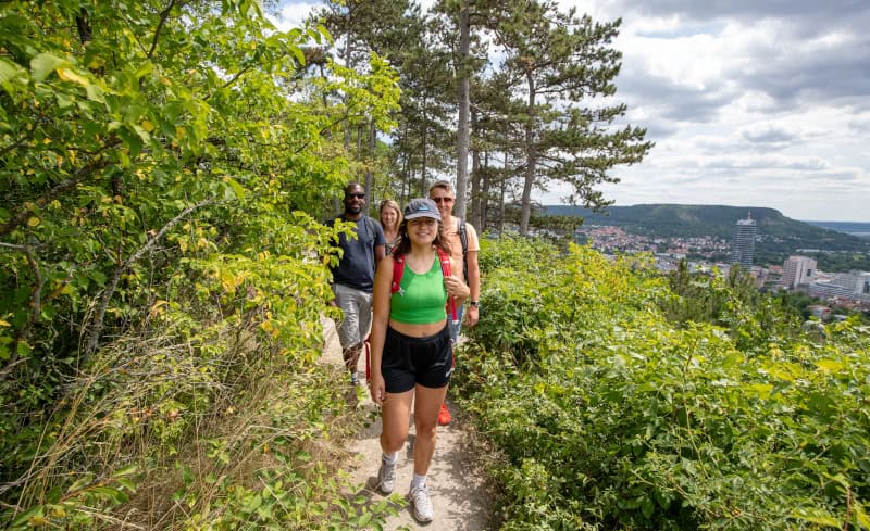Kulturarena, Flussromantik und Festival unterm Sternenzelt - Sommerreisetipp Jena 7 SaaleHorizontale JenaKultur Roman Moebius