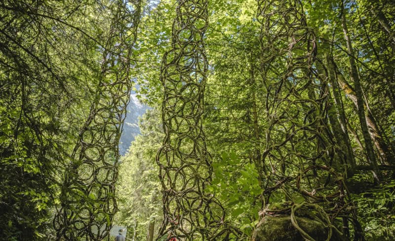 Land Art im Grindelwald lädt zum Staunen ein, Natur wird zur Leinwand 4 Valerie Sch. und Ivo M.