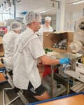 Altes Gewuerzamt Klingenberg 111 Produktion