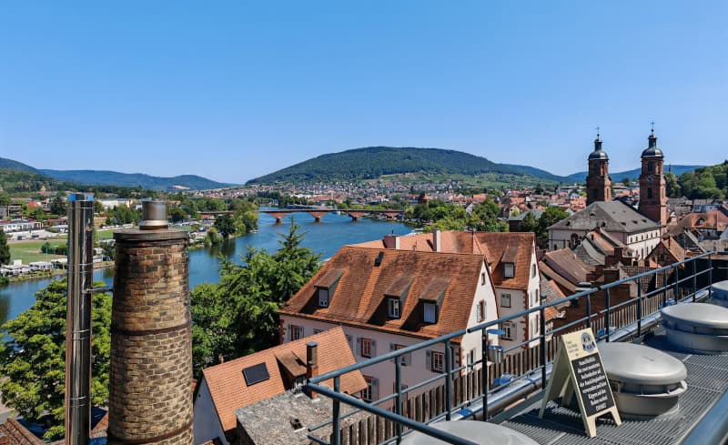 Brauhaus Faus, Blick vom Dach auf Miltenberg