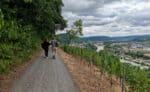 Fraenkischer Rotweinwanderweg 19