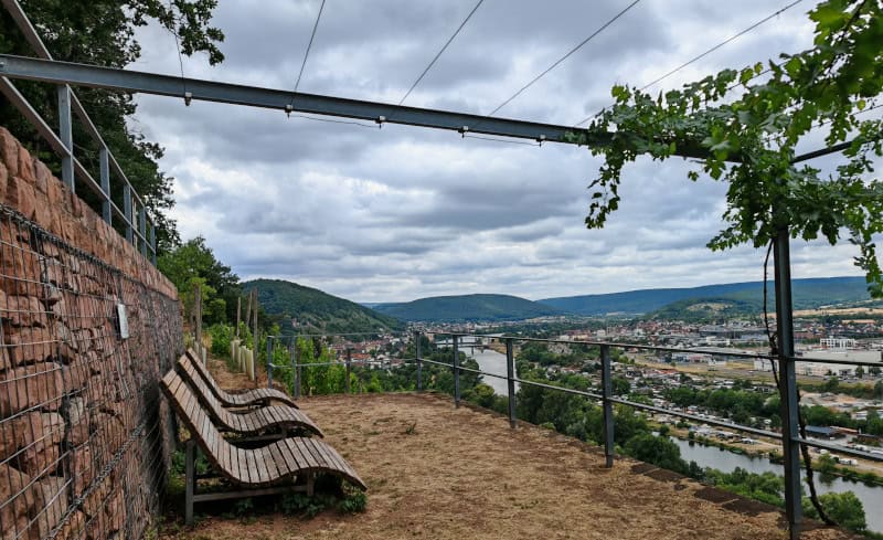 Fraenkischer-Rotweinwanderweg